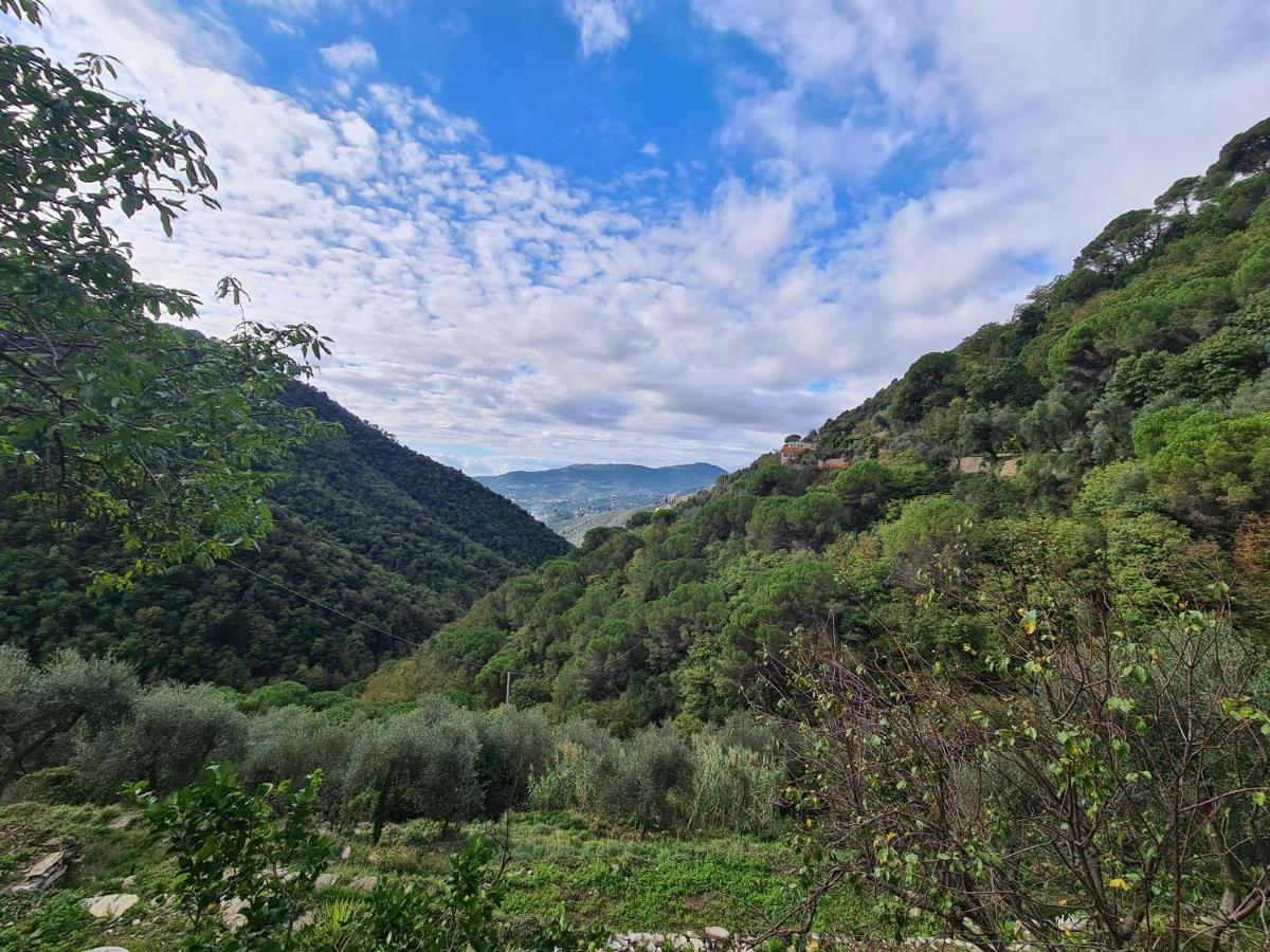 Castrusso Il Frantoio Di Rapallo By Portofinovacanze מראה חיצוני תמונה