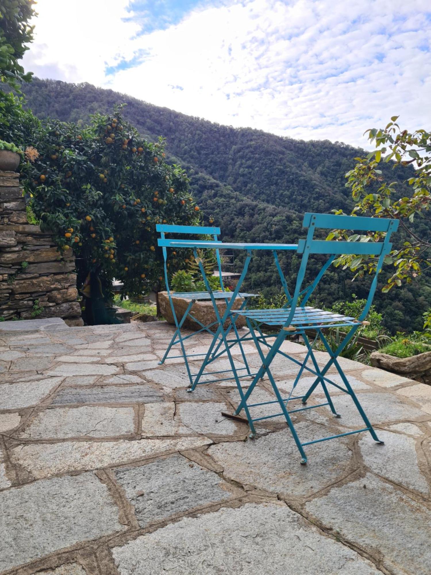 Castrusso Il Frantoio Di Rapallo By Portofinovacanze מראה חיצוני תמונה