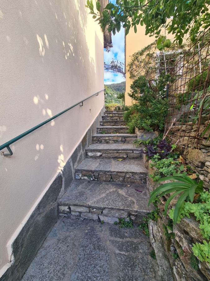 Castrusso Il Frantoio Di Rapallo By Portofinovacanze מראה חיצוני תמונה